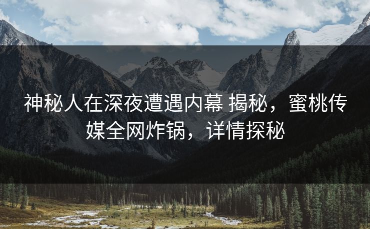 神秘人在深夜遭遇内幕 揭秘，蜜桃传媒全网炸锅，详情探秘