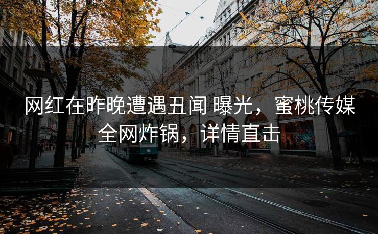 网红在昨晚遭遇丑闻 曝光，蜜桃传媒全网炸锅，详情直击