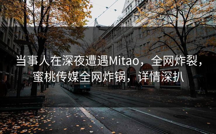 当事人在深夜遭遇Mitao，全网炸裂，蜜桃传媒全网炸锅，详情深扒