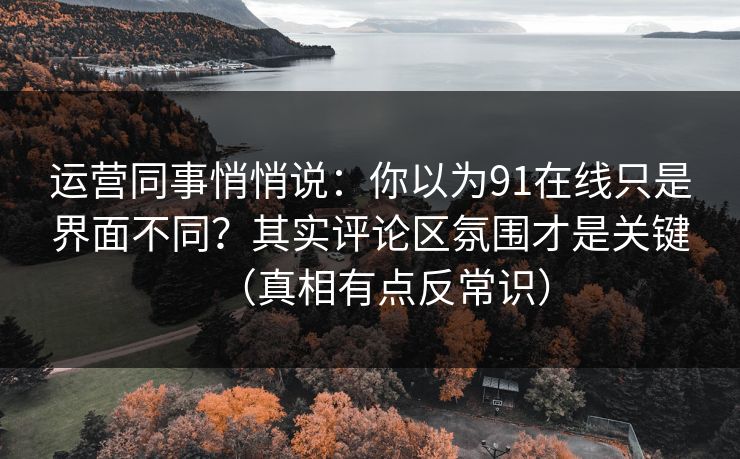 运营同事悄悄说：你以为91在线只是界面不同？其实评论区氛围才是关键（真相有点反常识）