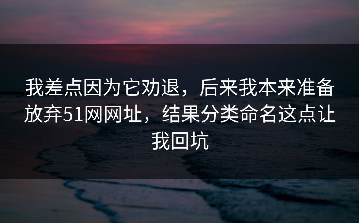 我差点因为它劝退，后来我本来准备放弃51网网址，结果分类命名这点让我回坑